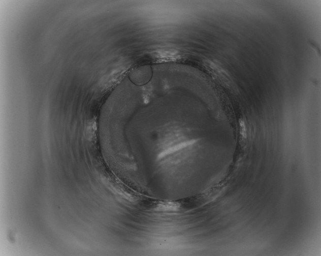 X0000103220369200809041008