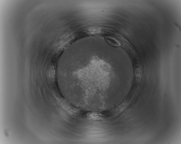 X0000103220372200809041008