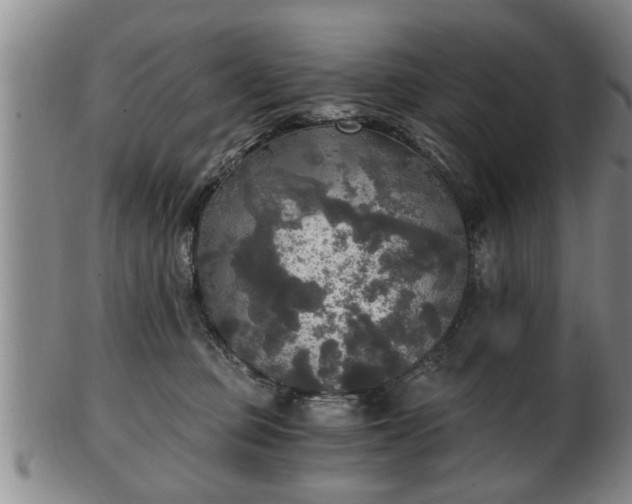 X0000103220373200809041008