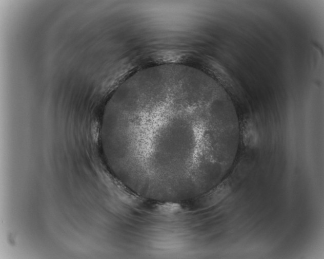 X0000103220374200809041008