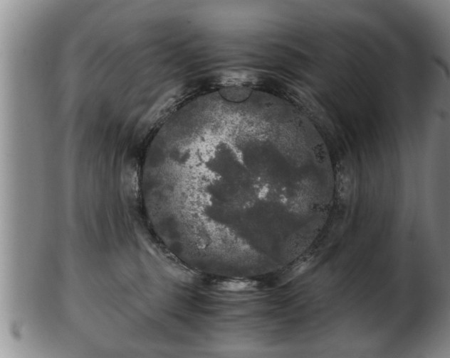 X0000103220375200809041008