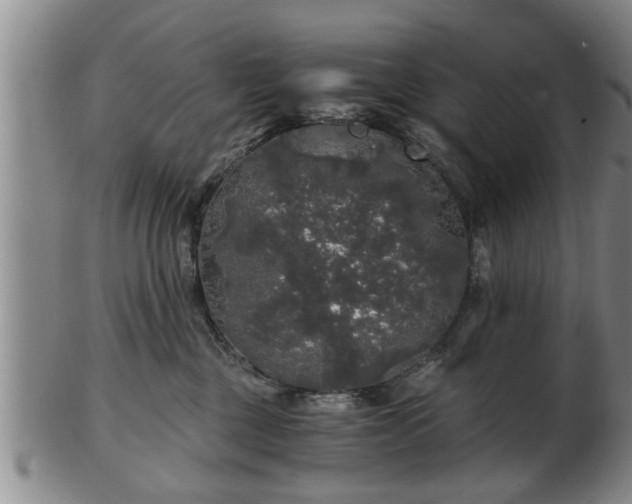 X0000103220377200809041008