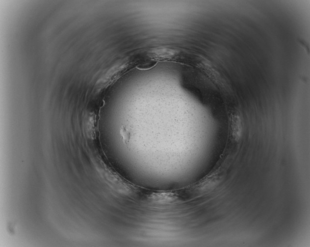 X0000103220378200809041008