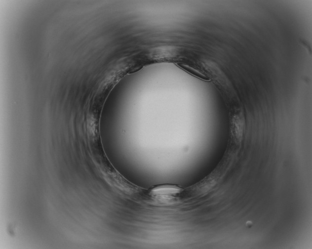 X0000103220380200809041008