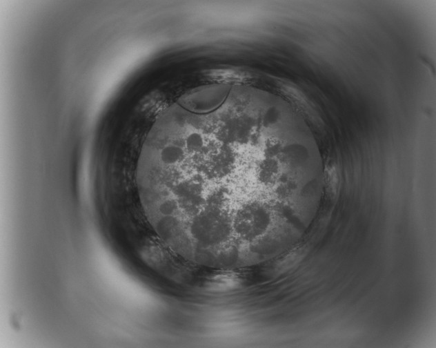 X0000103220381200809041008