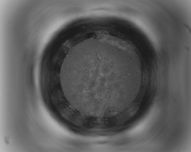 X0000103220383200809041008