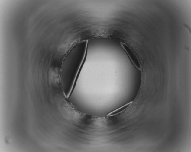 X0000103220384200809041008