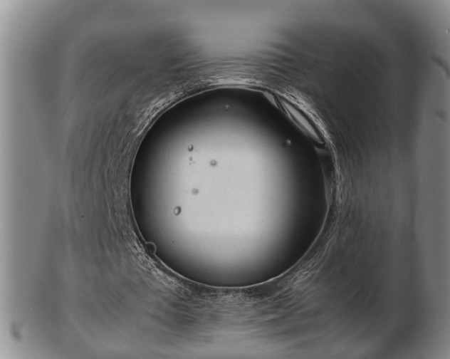 X0000103220385200809041007