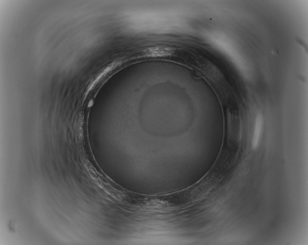 X0000103220387200809041007