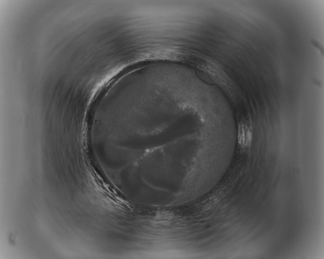 X0000103220388200809041007