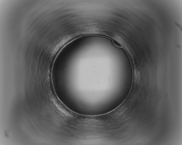 X0000103220389200809041007