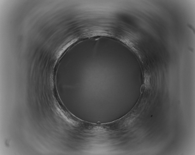 X0000103220390200809041007