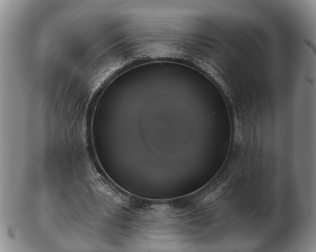 X0000103220391200809041007