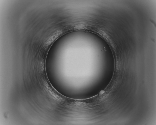 X0000103220393200809041007