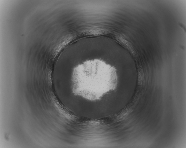 X0000103220394200809041007