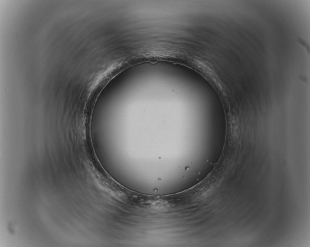 X0000103220395200809041007