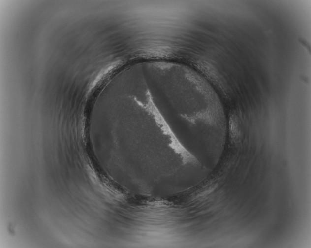 X0000103220396200809041007