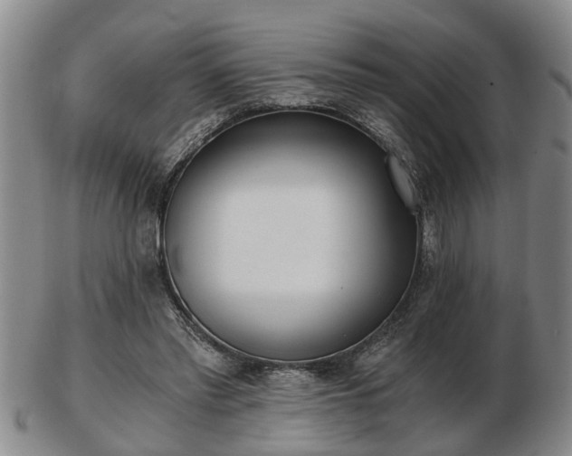 X0000103220397200809041007