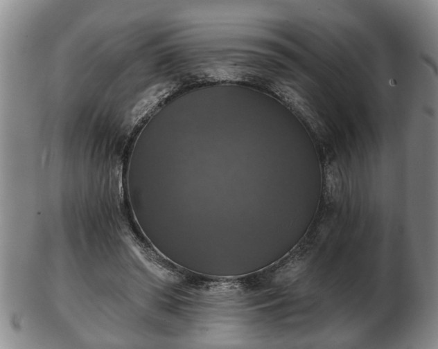 X0000103220398200809041007