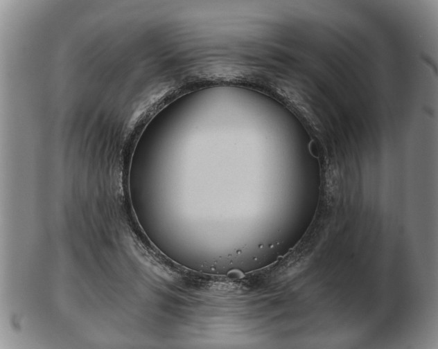 X0000103220399200809041007