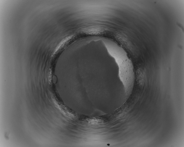 X0000103220400200809041007