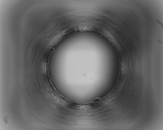 X0000103220401200809041007