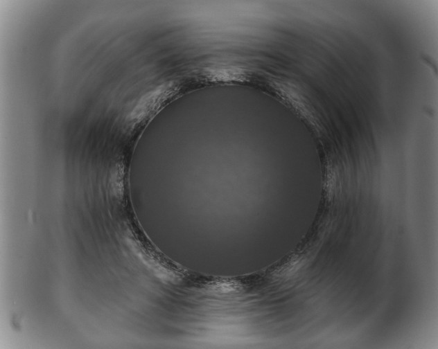 X0000103220402200809041007