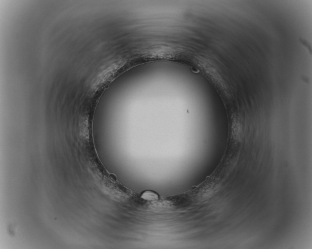 X0000103220403200809041007