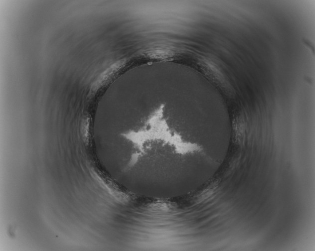 X0000103220404200809041007