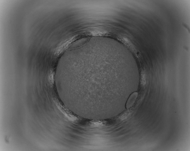 X0000103220405200809041007