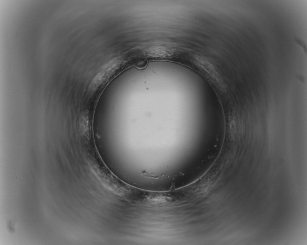 X0000103220407200809041007