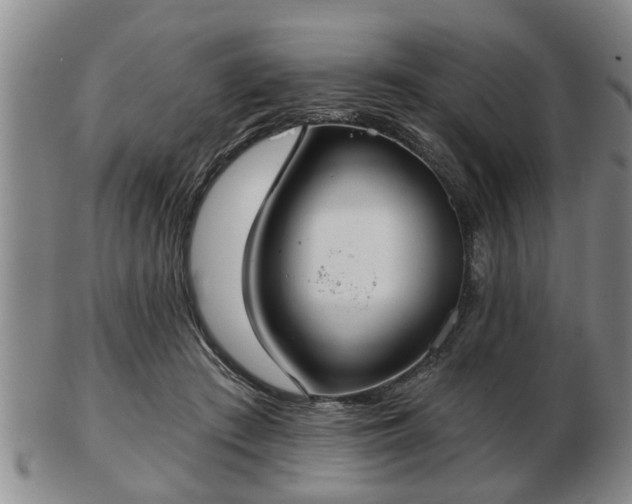 X0000103220409200809041007