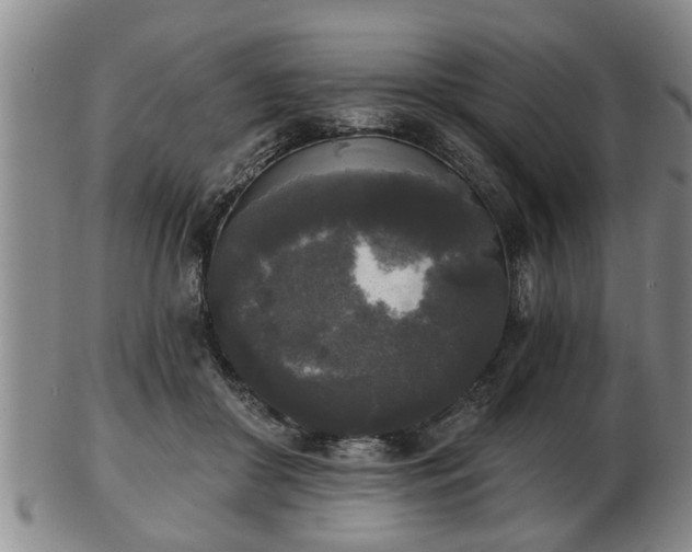 X0000103220410200809041007