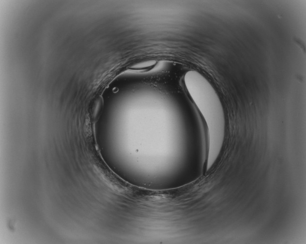 X0000103220411200809041007