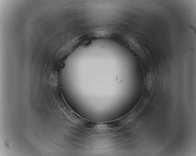 X0000103220413200809041007