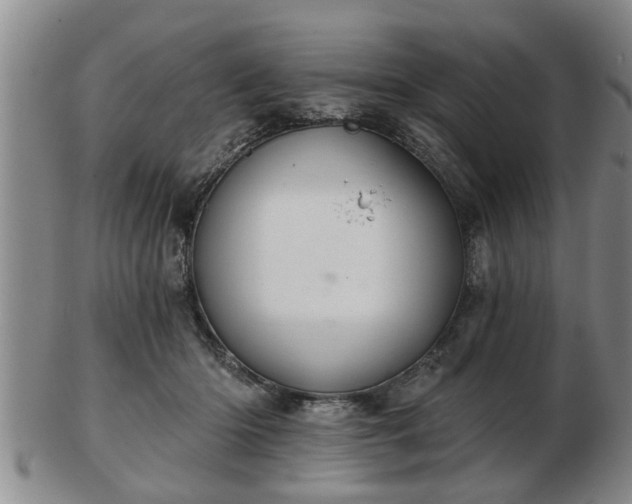 X0000103220414200809041007