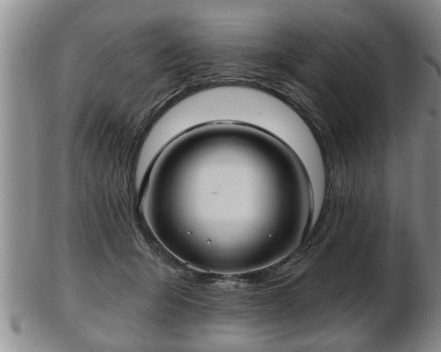 X0000103220415200809041007