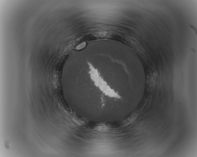 X0000103220416200809041007