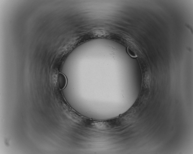 X0000103220417200809041007