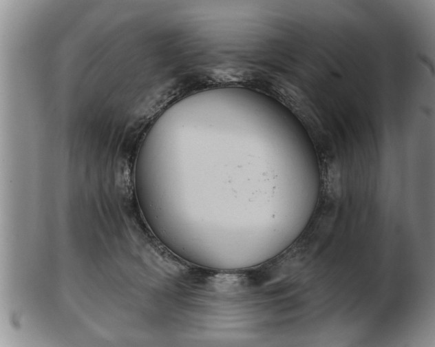 X0000103220418200809041007