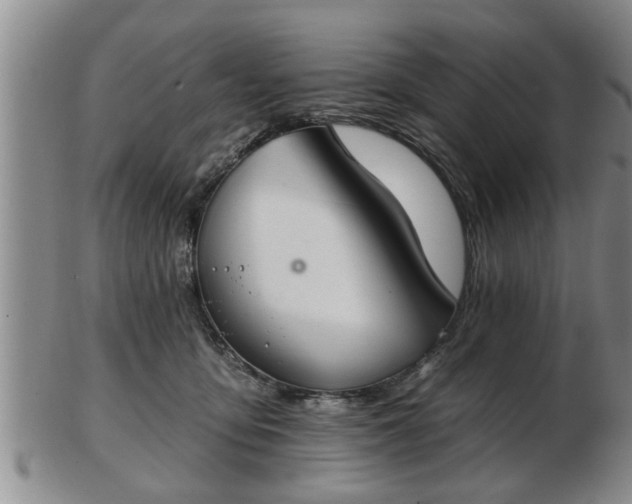 X0000103220419200809041007