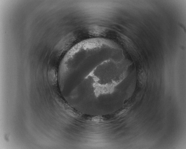 X0000103220420200809041007