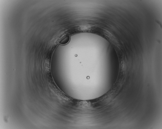 X0000103220421200809041007