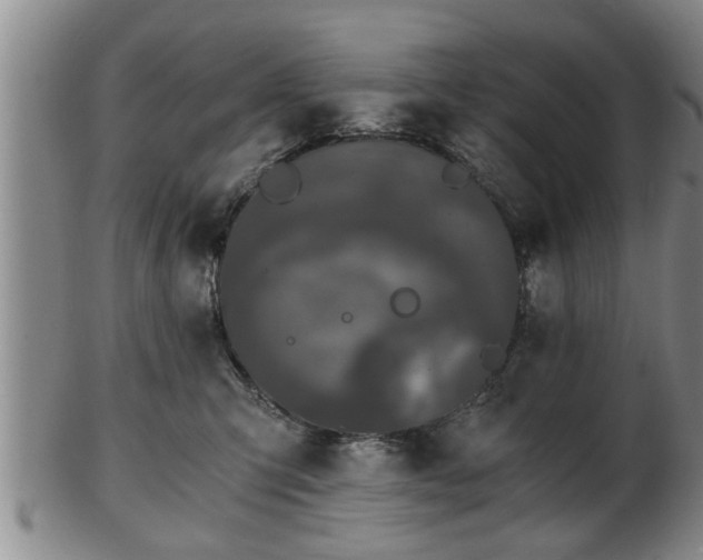 X0000103220423200809041007