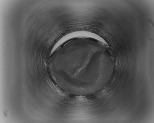 X0000103220424200809041007