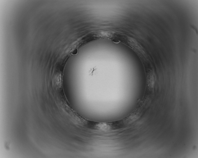 X0000103220425200809041007