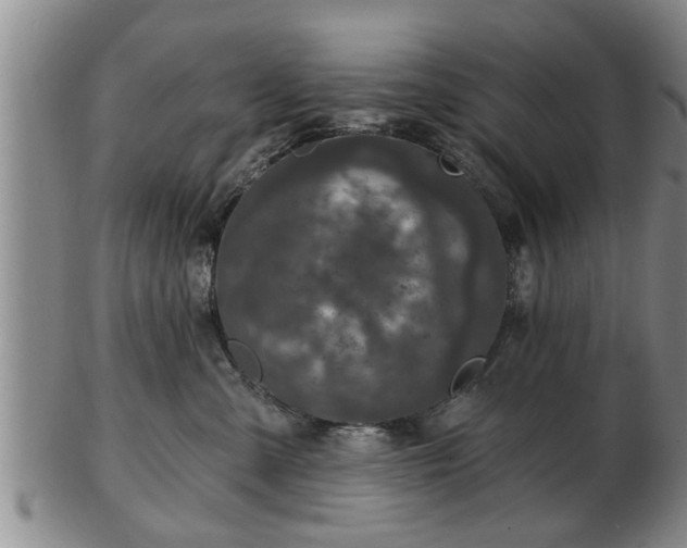 X0000103220427200809041007