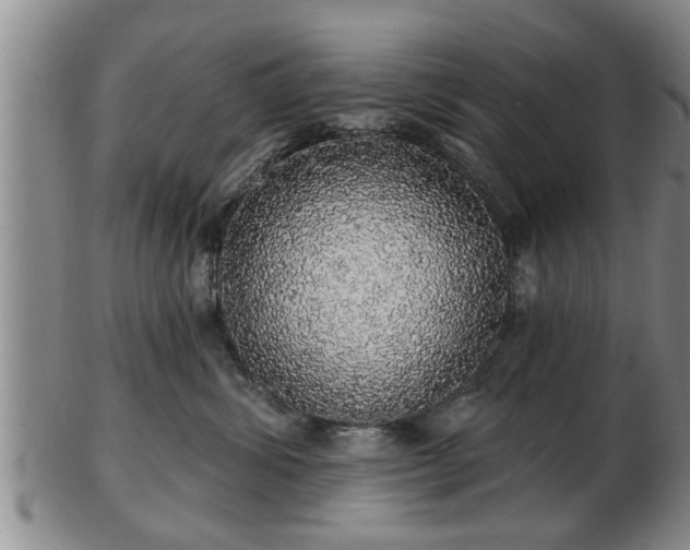 X0000103220428200809041007