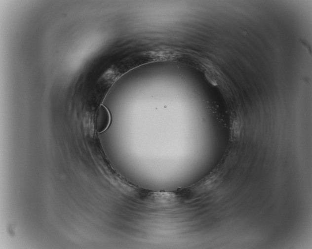 X0000103220429200809041006