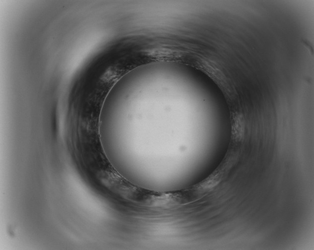 X0000103220430200809041006